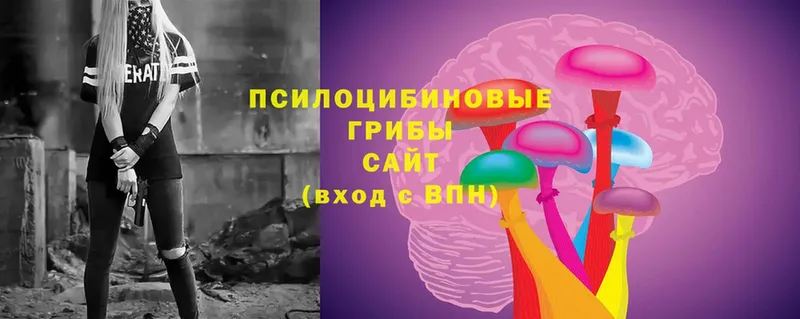 Галлюциногенные грибы Psilocybine cubensis  купить   Люберцы 